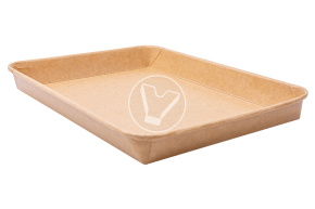 Контейнер Pratico,256*182*24мм