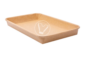 Контейнер Pratico,241*152*24мм