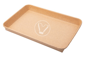 Контейнер Pratico,256*182*24мм